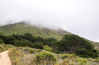 Fog Blanket